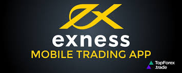 Is Exness Broker Regulated Understand the Facts Is Exness Broker Regulated Understand the Facts