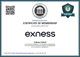 Understanding the Exness Group A Gateway to Modern Trading